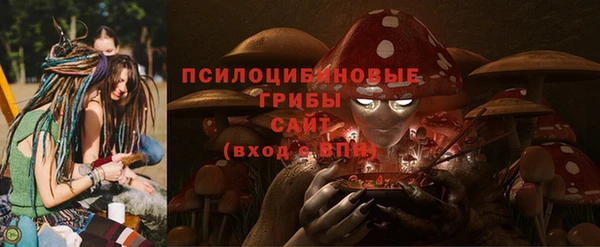 ГАЛЛЮЦИНОГЕННЫЕ ГРИБЫ Нея